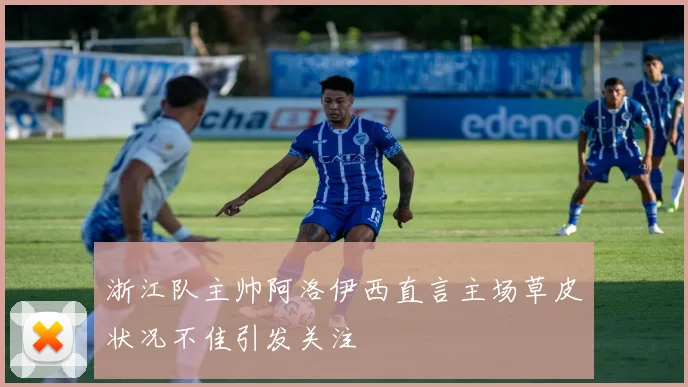 浙江队主帅阿洛伊西直言主场草皮状况不佳引发关注