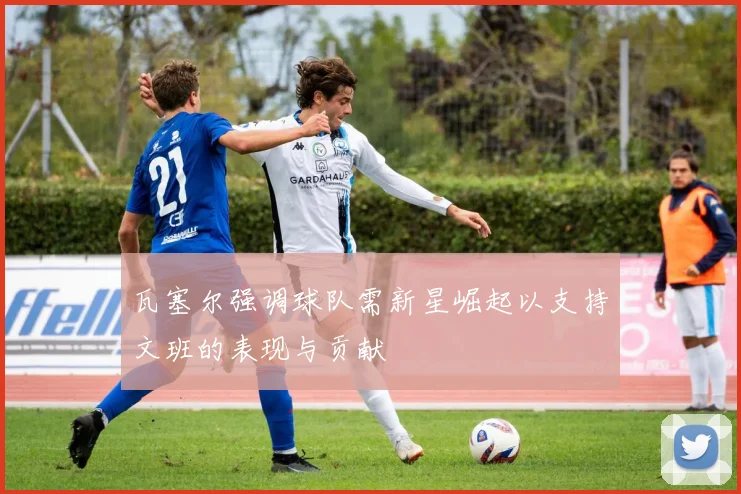 瓦塞尔强调球队需新星崛起以支持文班的表现与贡献