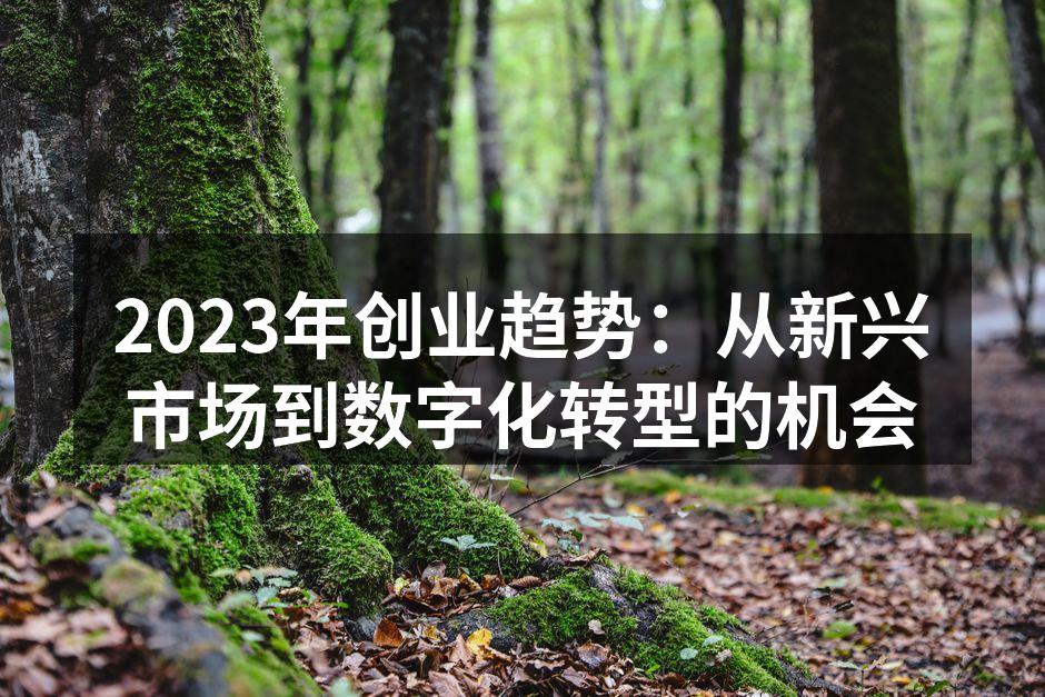 2023年创业趋势：从新兴市场到数字化转